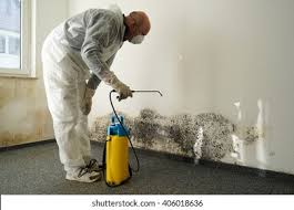 Environmental Consulting for Mold Prevention in Fremont, CA